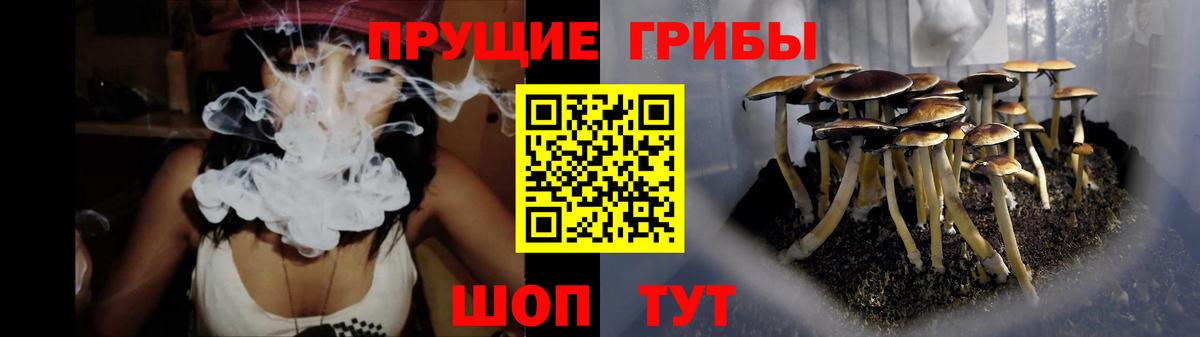 Наро-Фоминск  Галлюциногенные грибы мухоморы  Вход с VPN 